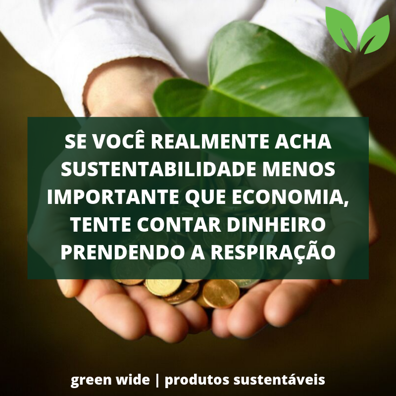Sustentabilidade e Business.png